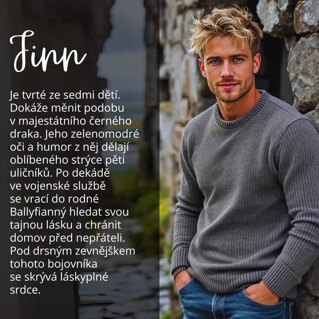 Strážce Irska - medailonky (2)